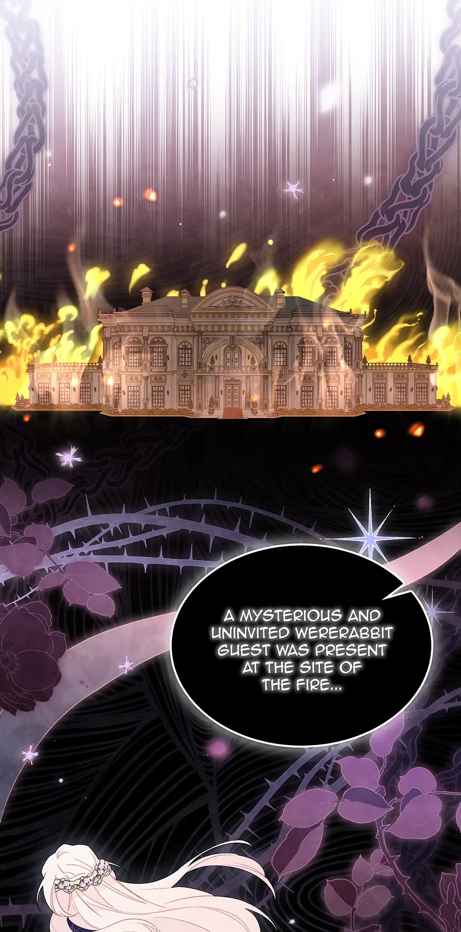 A Symbiotic Relationship Between A Rabbit And A Black Panther - Chapter 71 Page 75