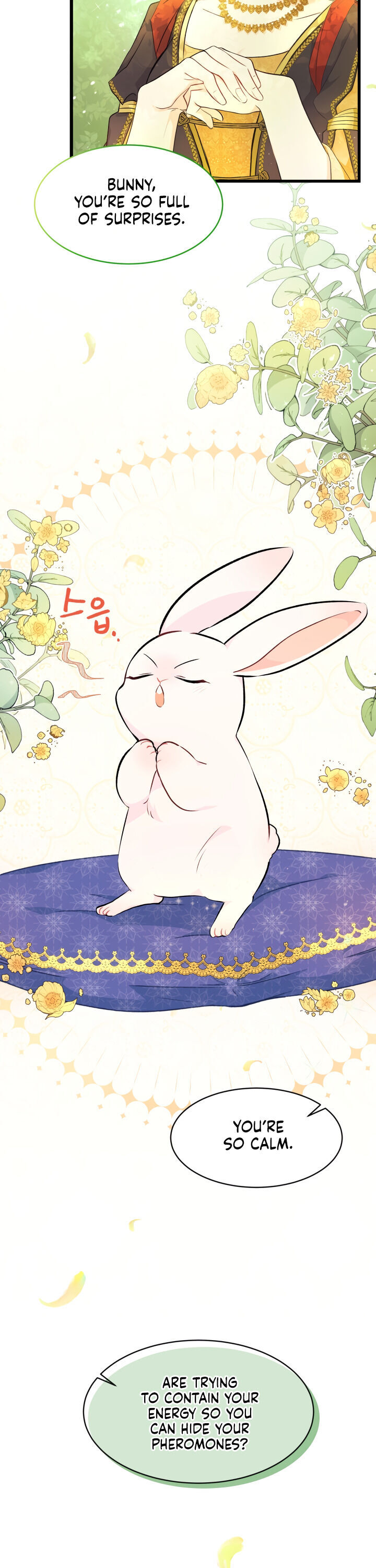A Symbiotic Relationship Between A Rabbit And A Black Panther - Chapter 8 Page 2