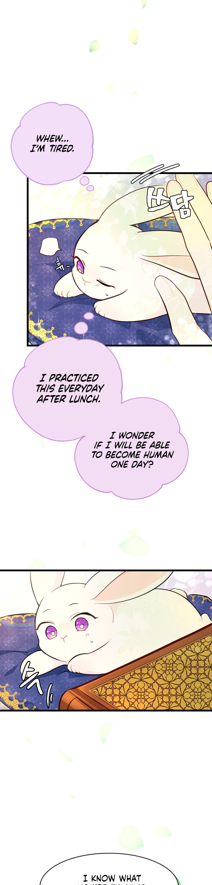 A Symbiotic Relationship Between A Rabbit And A Black Panther - Chapter 8 Page 5