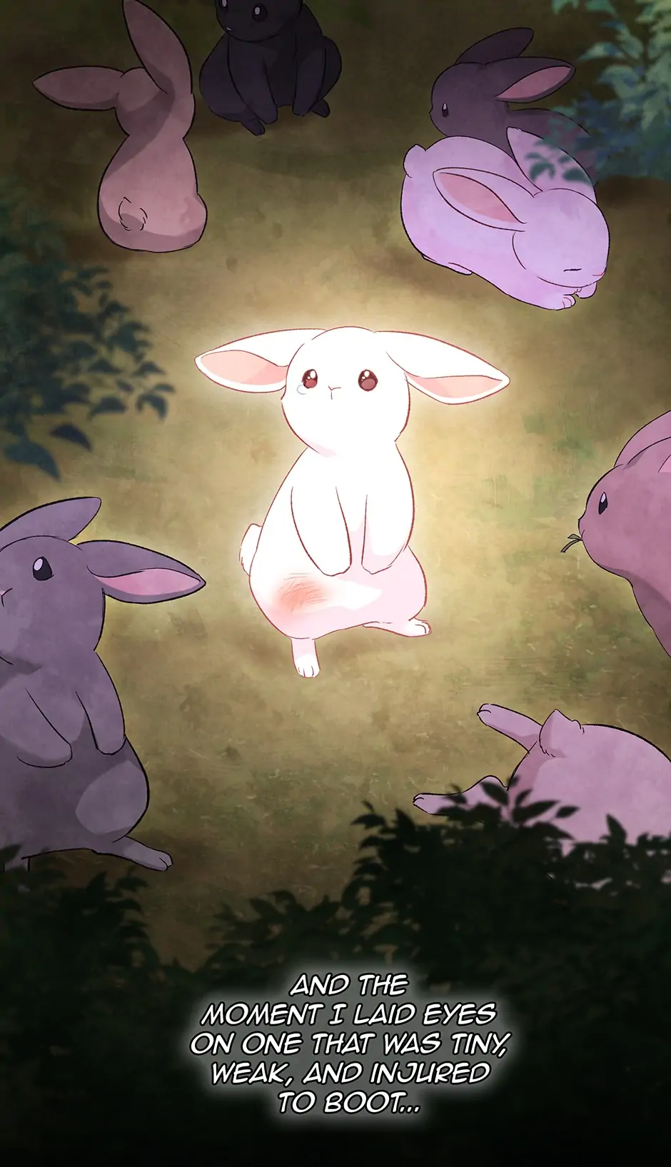 A Symbiotic Relationship Between A Rabbit And A Black Panther - Chapter 82 Page 3
