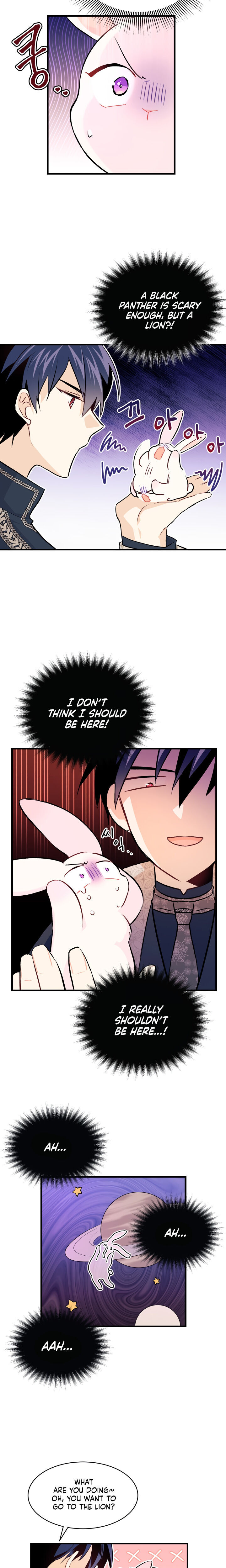 A Symbiotic Relationship Between A Rabbit And A Black Panther - Chapter 9 Page 9