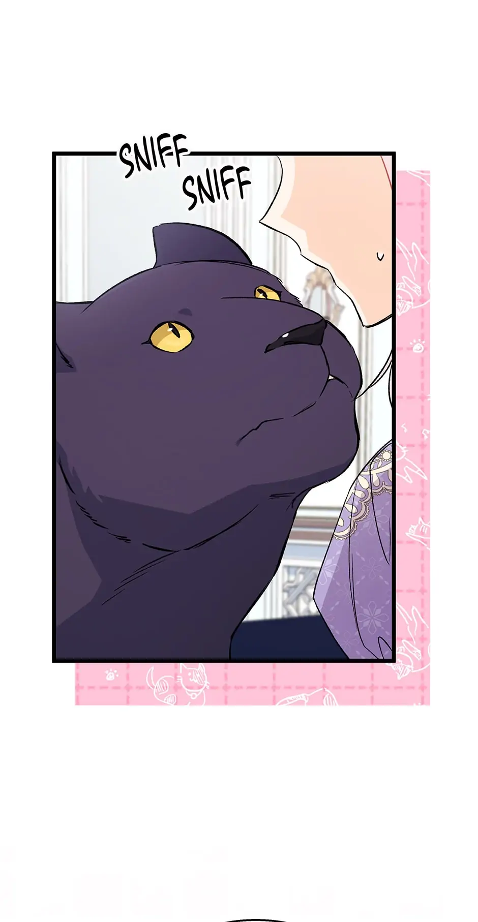 A Symbiotic Relationship Between A Rabbit And A Black Panther - Chapter 90 Page 9
